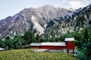 4 KALASH (136)